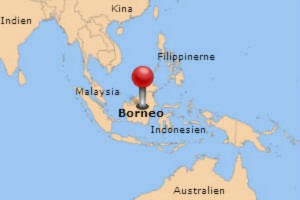 Your target_Boreno_ydercirklen_travel_banner