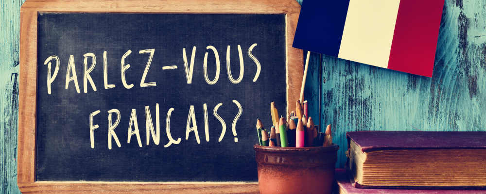 Sprogrejse, Sprogrejser