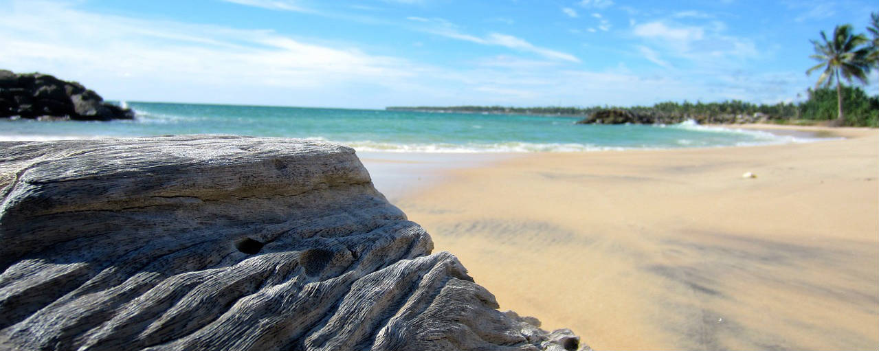 Sri Lanka, Rejse til Sri Lanka